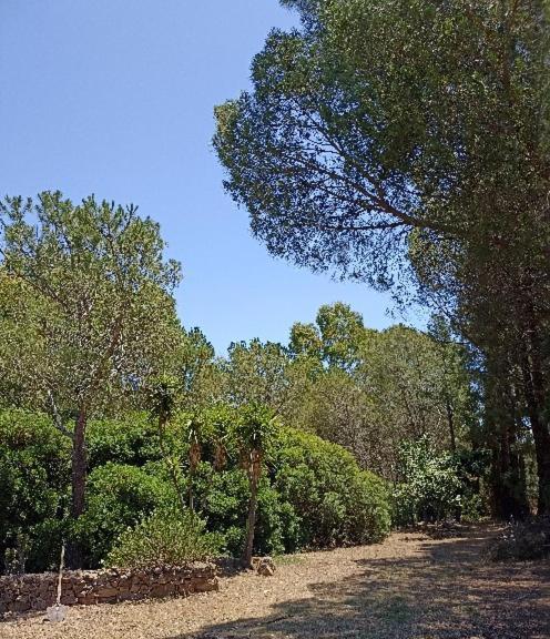 הוילה דומוס דה מריה Chia - Casarosa מראה חיצוני תמונה